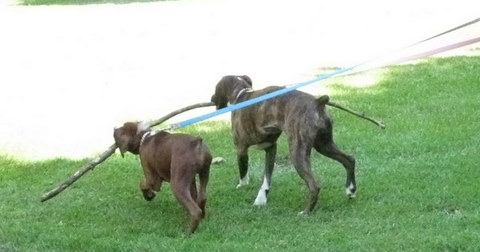 Karma & Aries