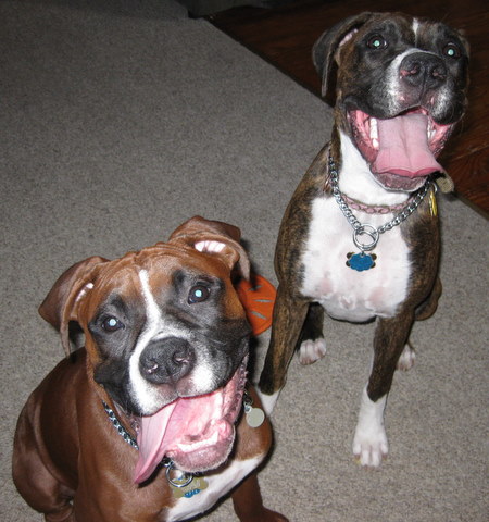 Karma & Aries