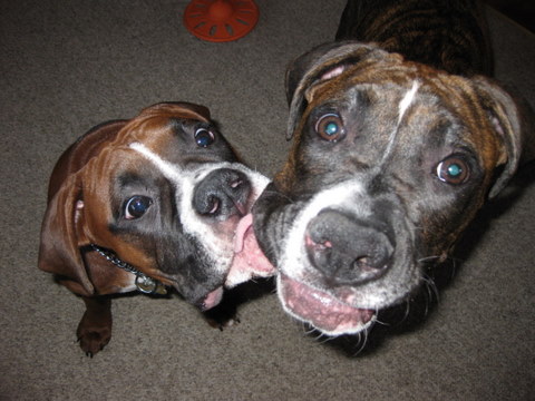 Karma & Aries