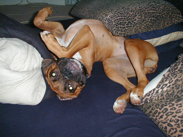 Karma just being a regular goofball as usual