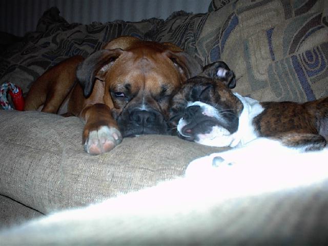 Karma wore me out!