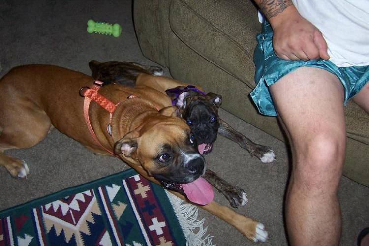 Kasch & Kallie