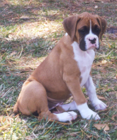 Katie at 8 wks