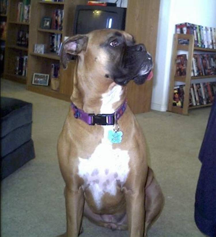 Katie Hears Something