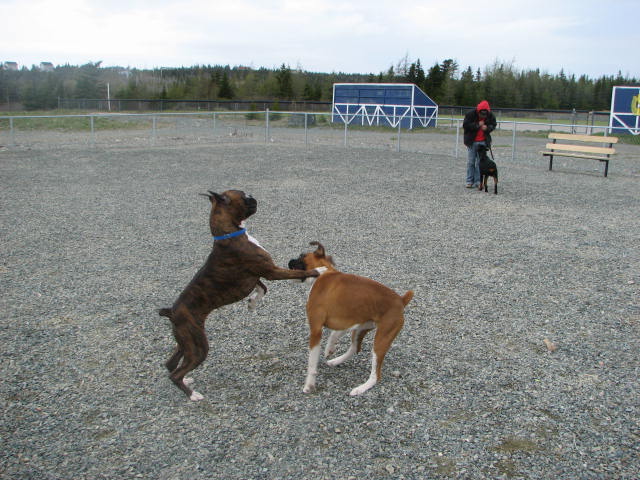 Kato and Jaeger