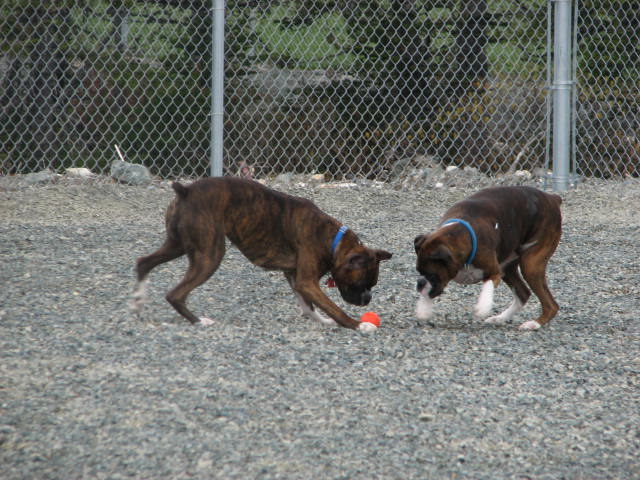 Kato and Molly