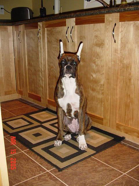 Kato_in_Kitchen