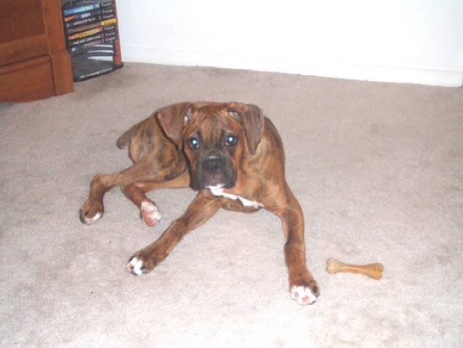 Kaybie 5 months old
