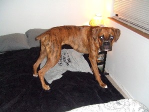 Kaybie 9.5 months old
