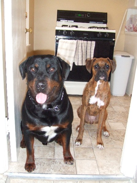 Kaybie and Rex