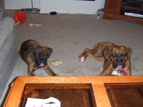 Kaybie & Charlotte