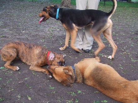 Kaybie & Cubby