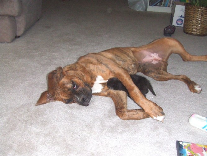 Kaybie cuddling with Onyx