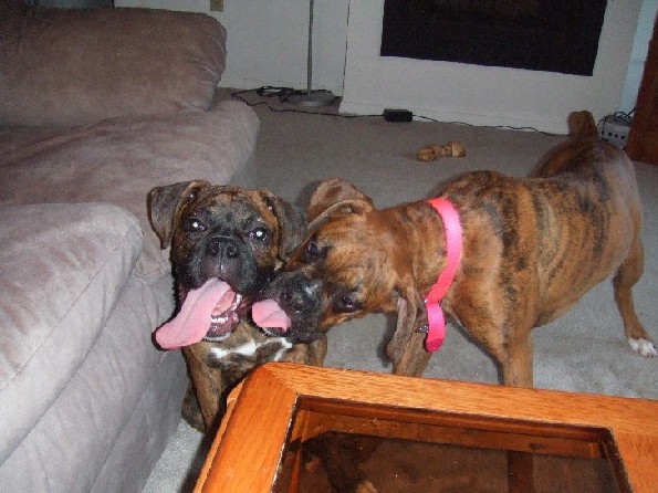Kaybie giving Charlotte kisses