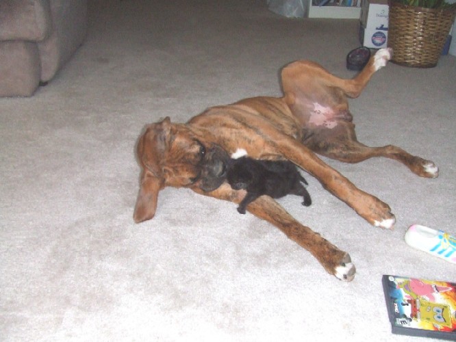 Kaybie kissing Onyx