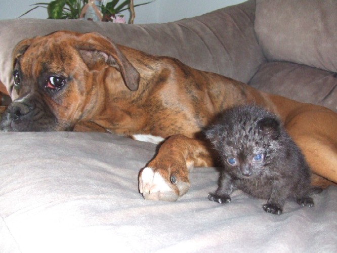 Kaybie & Onyx