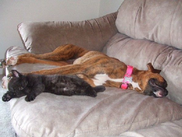 Kaybie & Onyx