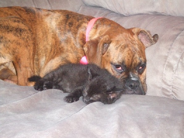 Kaybie & Onyx