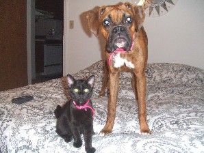 Kaybie & Onyx