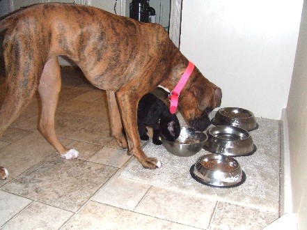 Kaybie & Onyx