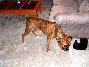 Kaybie playing with her rope