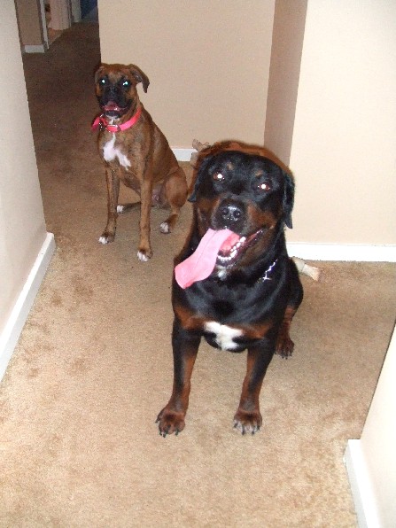 Kaybie & Rex