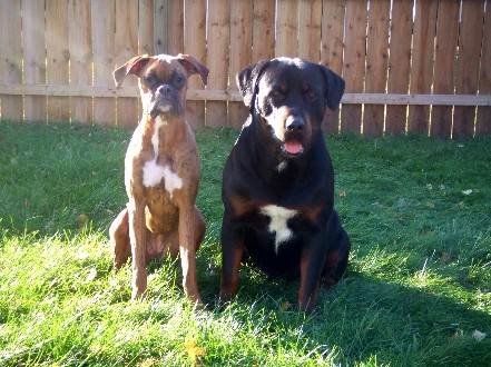 Kaybie & Rex