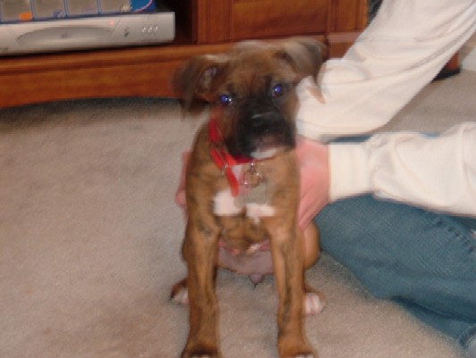 Kaybie Sitting Pretty (7 weeks old)