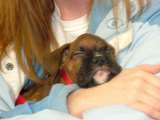 Kaybie sleeping in my arms (6 weeks old)