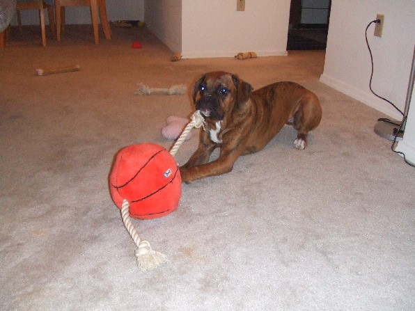 Kaybie's Favorite Toy
