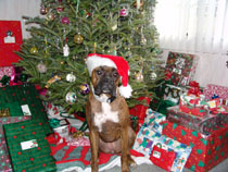 Kayla Christmas 2004