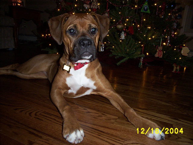Kayla's First Christmas