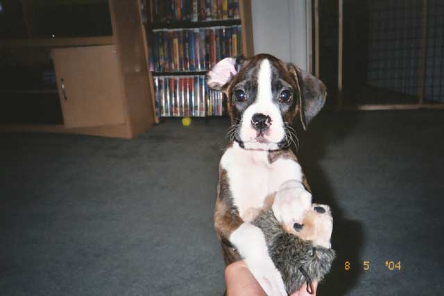 Kaylee and Sonic