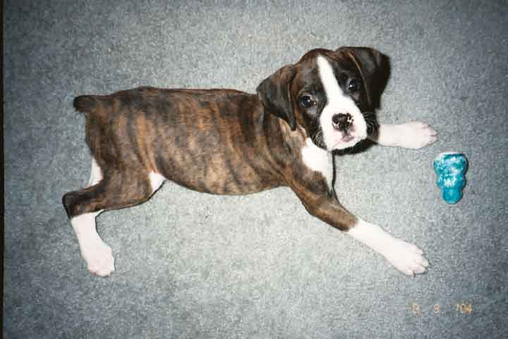 Kaylee