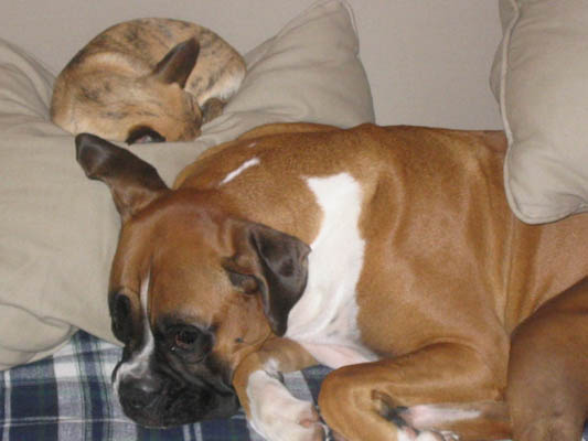Kaylie & Layla