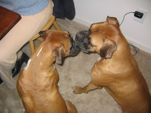 Kaylie & Maynard