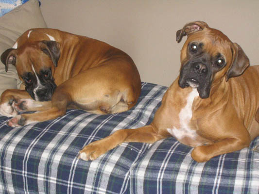 Kaylie & Maynard