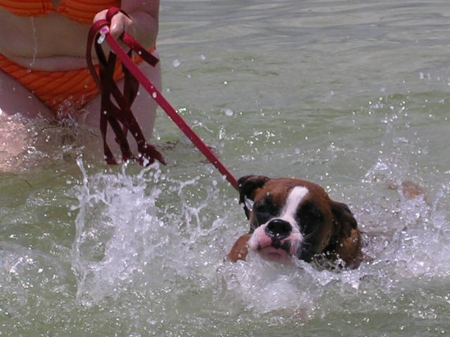 Keegan's 1st swim in the Gulf