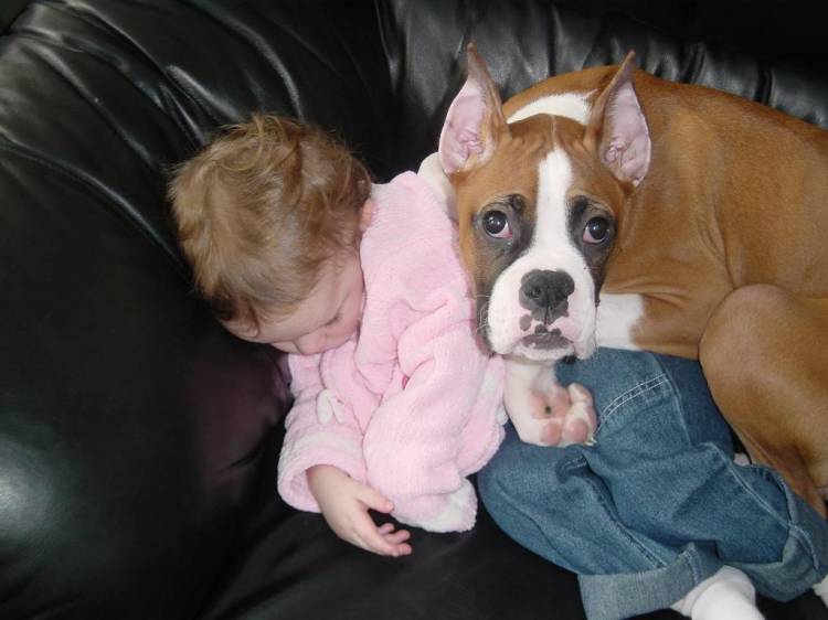 Keely and Zeus Sleeping
