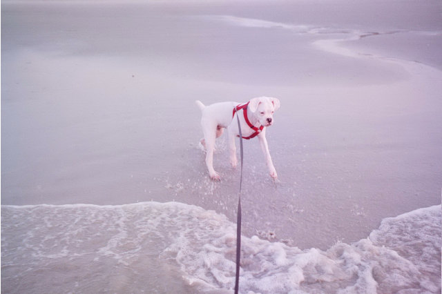 Keep away from me, you moving water!
