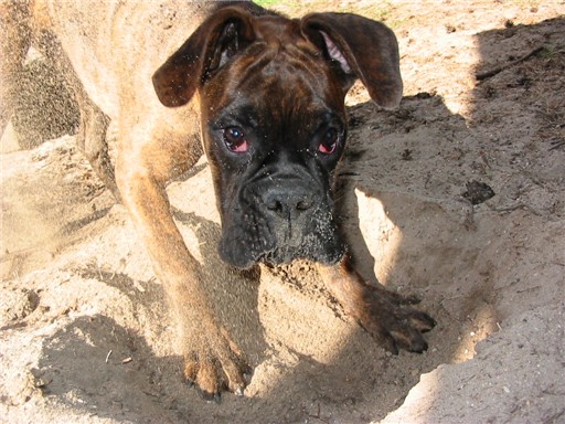 Keep on Diggin'