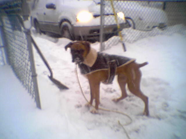 Keep on snowing...