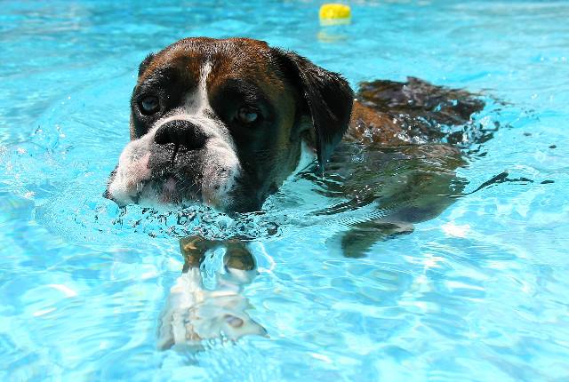 Keep paddling Henri