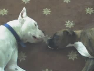 keeping an eye on eachother