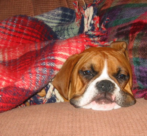 Keeping cozy!!