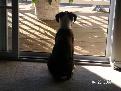 keeping_an_eye_out