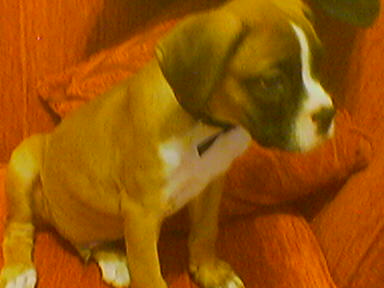 keeroff-2months-old