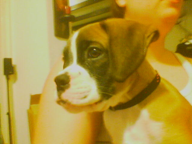 keeroff-2months-old