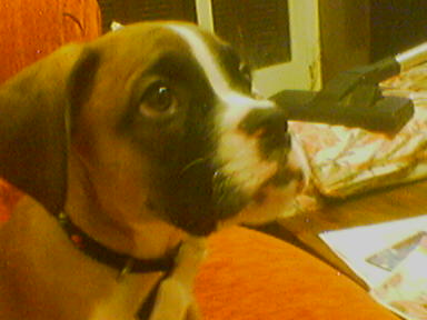 keeroff-2months-old