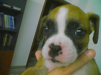 keeroff-35days-old